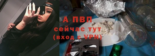 амф Алексин