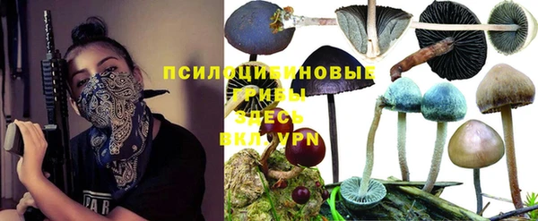 мескалин Алексеевка