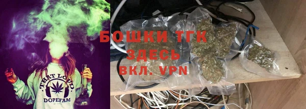 амф Алексин